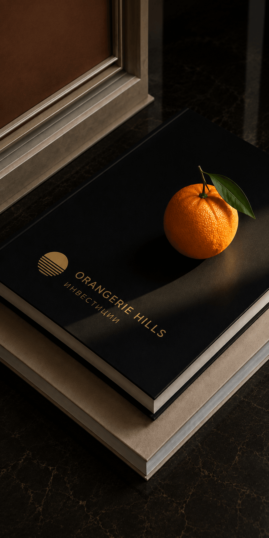 Инвестиционный альбом Orangerie Hills с апельсином на обложке